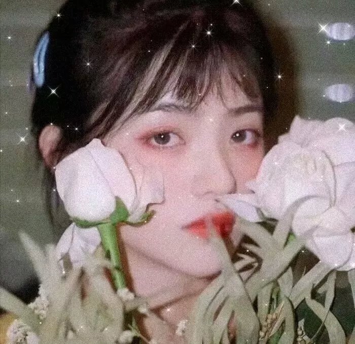 毒窃之徒